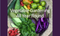 basket of vegetables and herbs